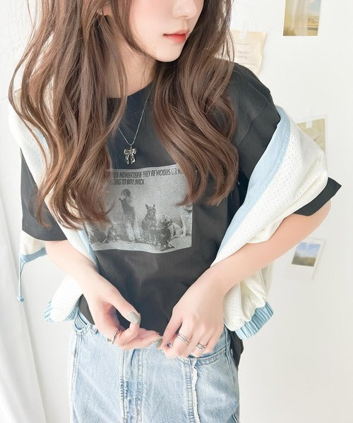 スタイリングの主役に。綿100％アニマルフォトプリントTシャツ mo1310040