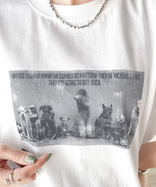 スタイリングの主役に。綿100％アニマルフォトプリントTシャツ mo1310040