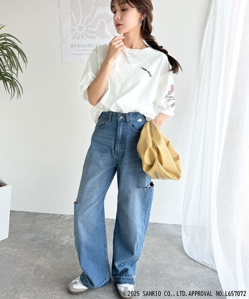 【Sanrio characters/サンリオキャラクターズ】大人可愛い！かくれんぼシリーズランダム刺繍ビッグTシャツ（半袖） ce1350003