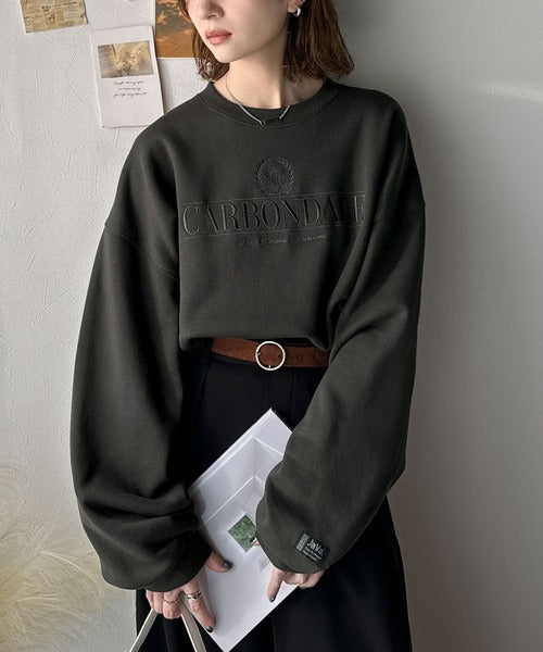《JaVa ジャバコラボ》微配色刺繍の上品ロゴデザイン。刺繍カレッジロゴ裏起毛スウェット jv1330040