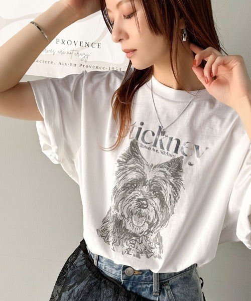 上品カジュアルを楽しむ。シルケット風アニマルTシャツ（半袖） ce1330029